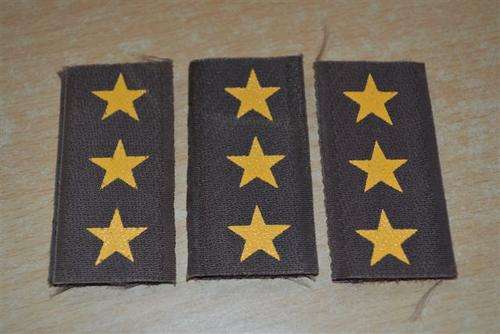 SADF Field dress collar badges for Captain. 1 of 3.