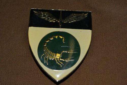 2 Reconnaissance Commando Shoulder Flash. 2 Pins.
