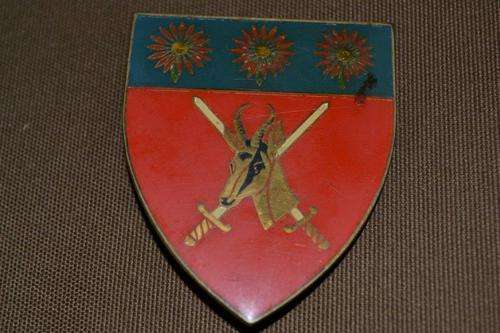 Northern Transvaal Command Shoulder Flash. 2 Pins.