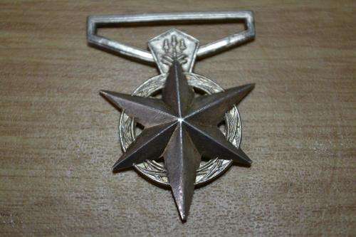 SA Police medal for combatting Terorism to W58473P S A/O I.J. Badenhorst 84/5/4