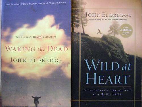 Wild at Heart & The Way of the Wild Heart  - John Eldredge