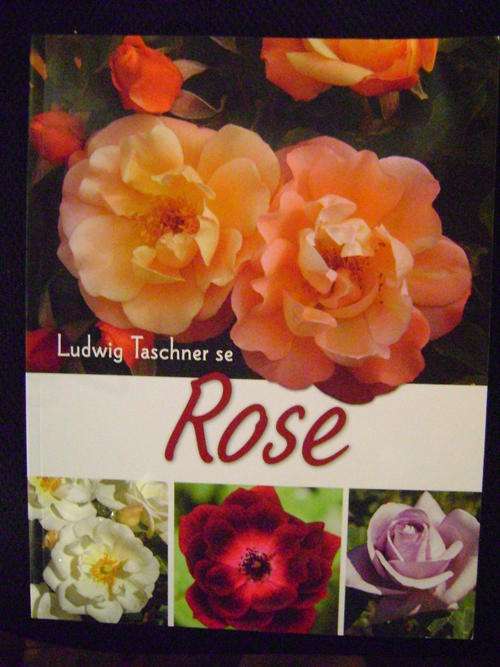 Ludwig Taschner se Rose