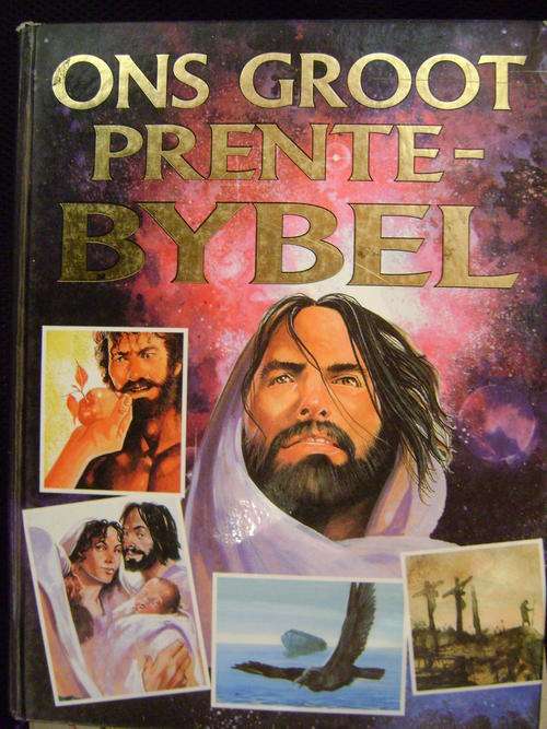 Ons groot prente-Bybel - Lux Verbi