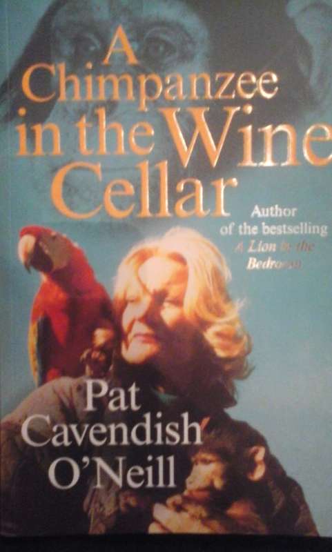 A chimpanzee in the cellar - Pat Cavendish O'Neill