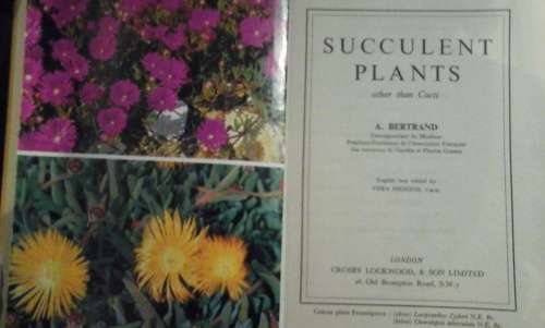 Succulent Plants - A. Bertrand