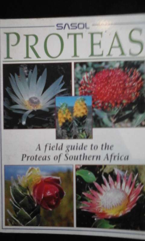 PROTEAS A Field Guide to the Proteas of Southern Africa - TONY REBELO