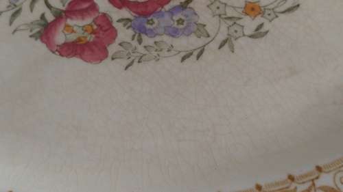 Lovely classic 2 Woods Georgia Burslem earthenware platters medium and large c 1901