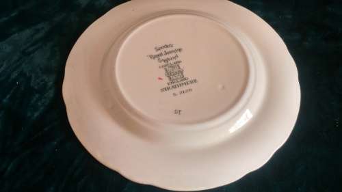 Beautiful Copeland Spode Royal Jasmine Cake or sandwich plate and 9 extras