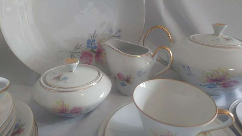 Lovely hand painted Bavaria Buhler/Wilhelmina Porcelain Tea set