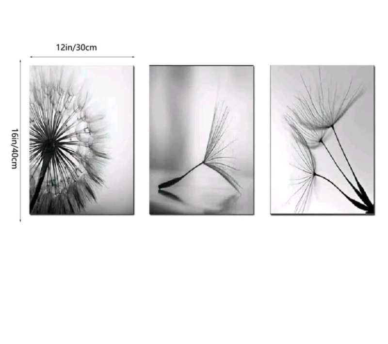 3 Piece Unframed Black & White Dandelion Wall Poster