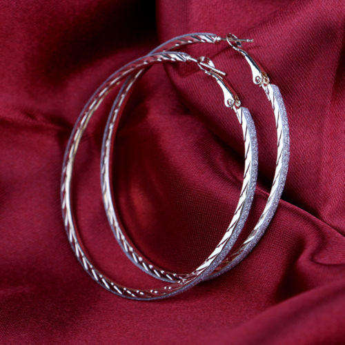 Womens Fashion Lady Exaggerated Frosted Big Earrings Jewelry  (A268*)