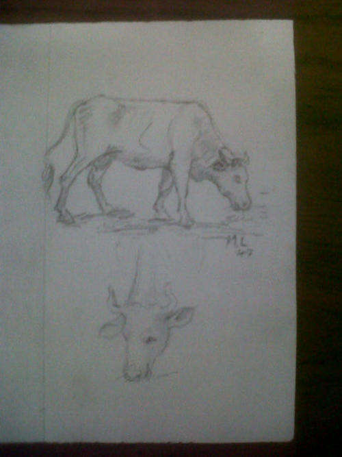 Maggie Laubscher  "Farm Animals " Unusual