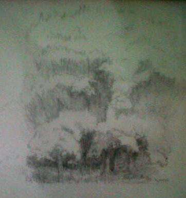 Maud Sumner **pencil **  influenced by Irma Stern, Pierneef, Laubser