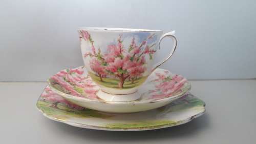 VIntage ROYAL ALBERT - "Blossom Time" Trio
