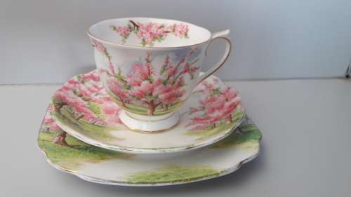 VIntage ROYAL ALBERT - "Blossom Time" Trio
