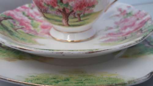 VIntage ROYAL ALBERT - "Blossom Time" Trio