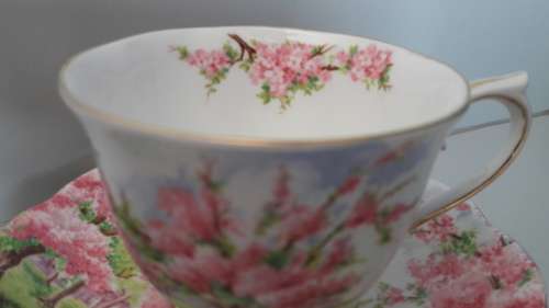VIntage ROYAL ALBERT - "Blossom Time" Trio
