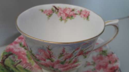 VIntage ROYAL ALBERT - "Blossom Time" Trio