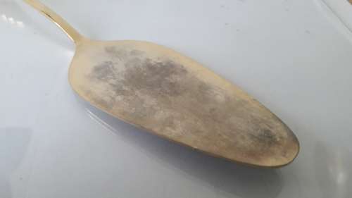 Stunning 20 carat GOLD plated cake lifter