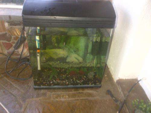 very nice Buyo black tank with built in filter in lid and light,40-50litre tank