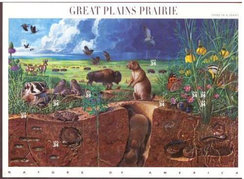 USA 2001 Scott # 3506. Great Plains Prairie. pane of 10. MNH.