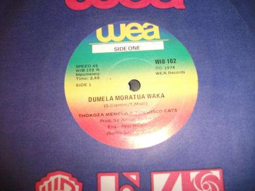 Thokoza Memela & The Disco Cats
