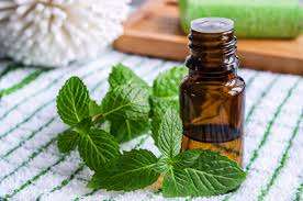 Spearmint Essential Oil 100ml 100% Pure, Undiluted