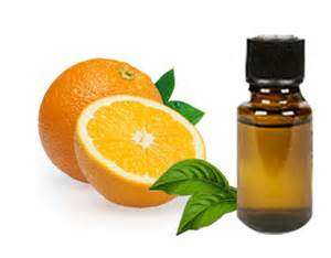 Orange Essential Oil10 ml (1/3 oz). 100% Pure, Undiluted - SCENTSHILL