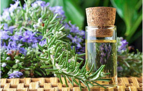 Rosemary Essential Oil10 ml (1/3 oz). 100% Pure, Undiluted - SCENTSHILL