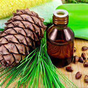 Cedarwood Essential Oil10 ml (1/3 oz). 100% Pure, Undiluted - SCENTSHILL
