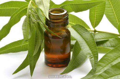 Citronella Essential Oil10 ml (1/3 oz). 100% Pure, Undiluted - SCENTSHILL