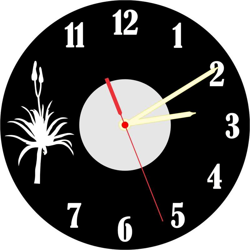 Aloe Vinyl LP Wall Clock