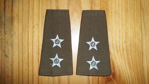 SA Army Lieutenant Rank Insignia Embroided Nutria (Pair)