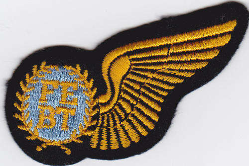 SAAF Flight Engineer Wing Gold Embroidered Before 2003