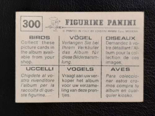 Figurine Panini Birds Sticker #300 (1979)
