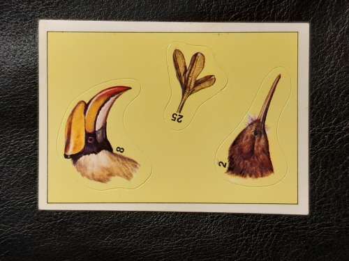 Figurine Panini Birds Sticker #292 (1979)