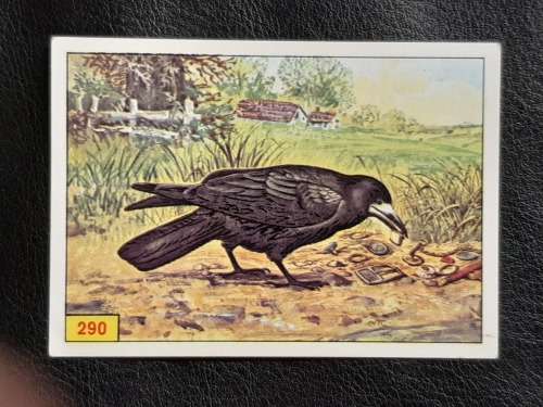 Figurine Panini Birds Sticker #290 (1979)