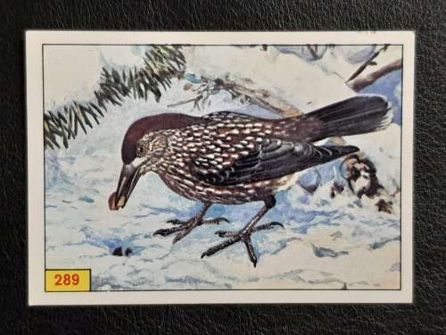 Figurine Panini Birds Sticker #289 (1979)
