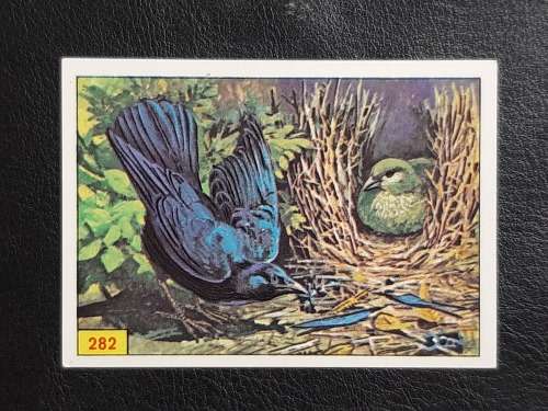 Figurine Panini Birds Sticker #282 (1979)
