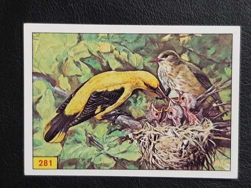 Figurine Panini Birds Sticker #281 (1979)