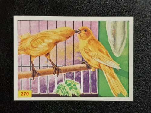 Figurine Panini Birds Sticker #270 (1979)