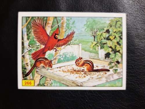 Figurine Panini Birds Sticker #266 (1979)