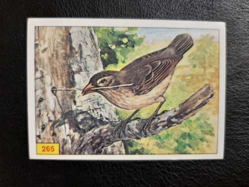 Figurine Panini Birds Sticker #265 (1979)