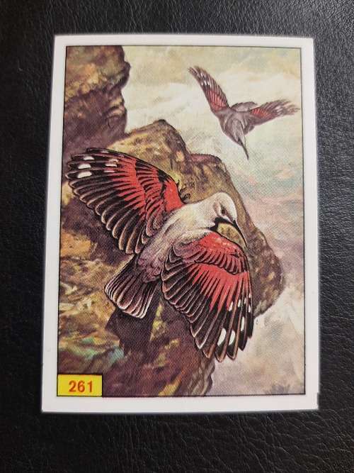 Figurine Panini Birds Sticker #261 (1979)