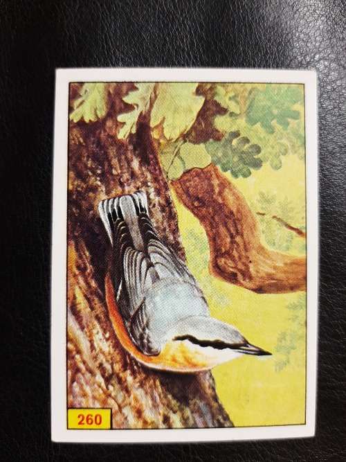 Figurine Panini Birds Sticker #260 (1979)