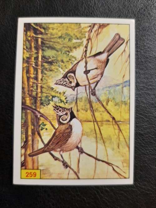 Figurine Panini Birds Sticker #259 (1979)