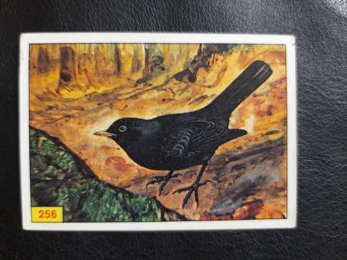 Figurine Panini Birds Sticker #256 (1979)