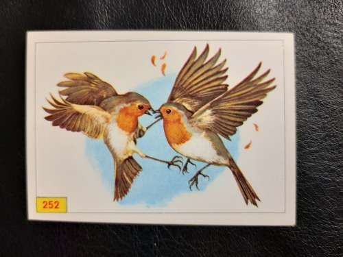 Figurine Panini Birds Sticker #252 (1979)