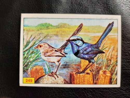 Figurine Panini Birds Sticker #249 (1979)