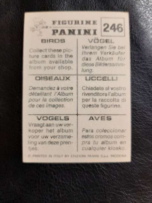 Figurine Panini Birds Sticker #246 (1979)